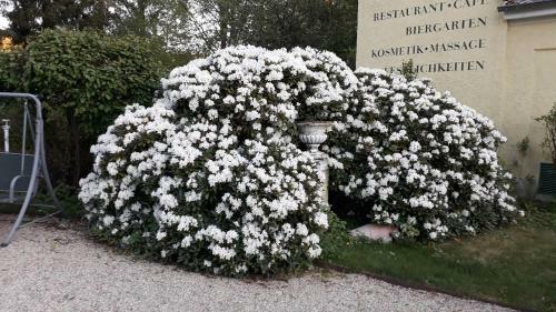 Hotel Quellenpark