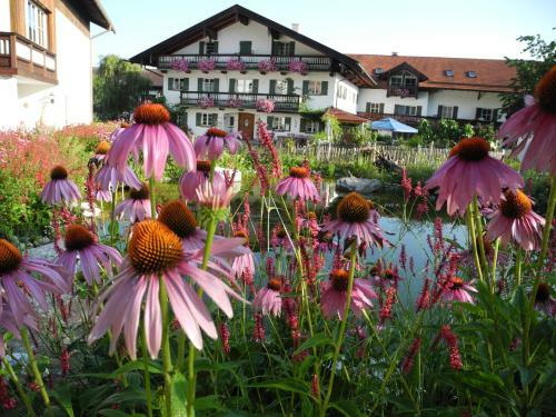 Agroturismo Wachingerhof