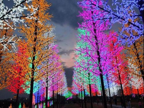 Apartamento Icity Homestay