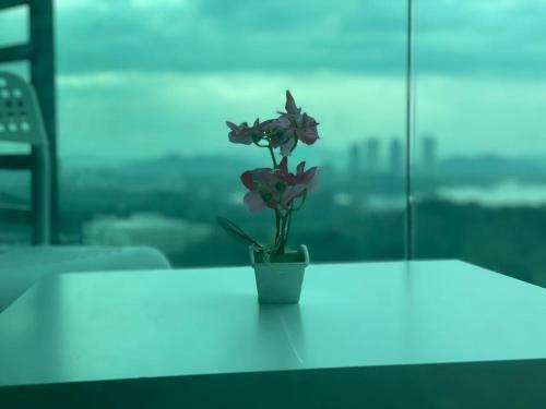 Apartamento Cq28-self Check In- Wifi- Netflix- Parking-new