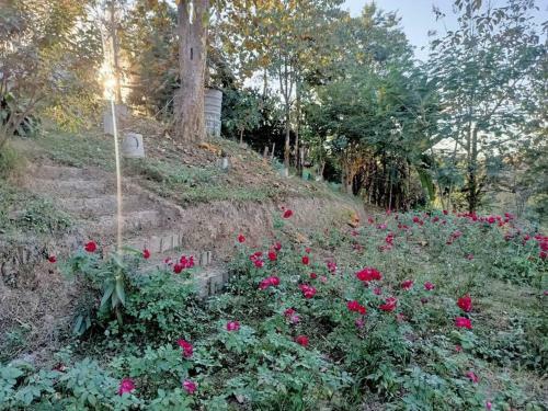 Private Homestay W/luxury Moutain View Tentcamping