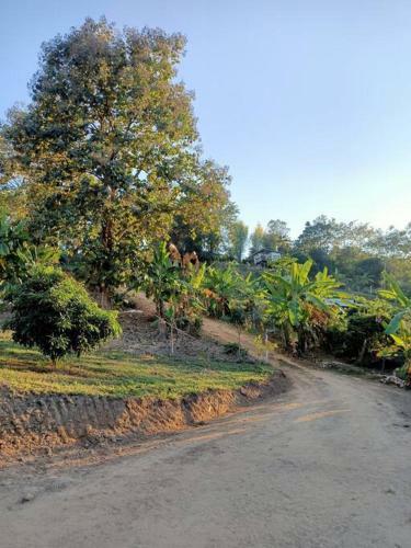 Private Homestay W/luxury Moutain View Tentcamping
