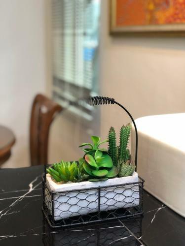 Home Suhaila