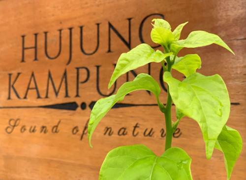 Bed & Breakfast Hujung Kampung Resort