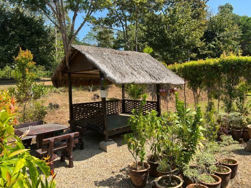 Bed & Breakfast Hujung Kampung Resort