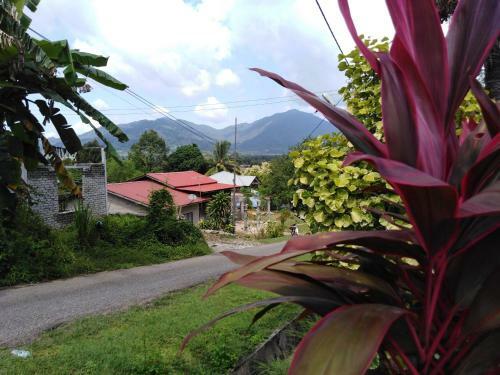 Homestay Haji Hamid