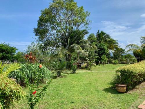 Lovely Garden Villas