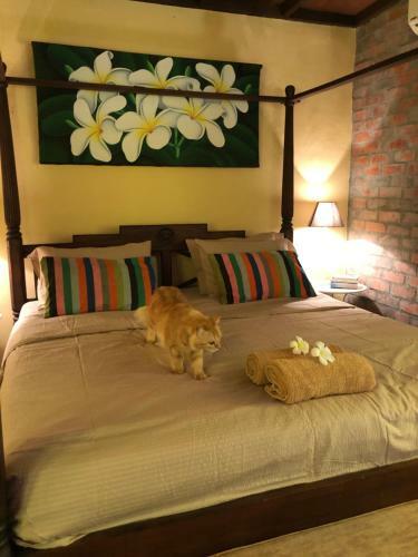 Hostal Pondok Keladi Langkawi Guesthouse