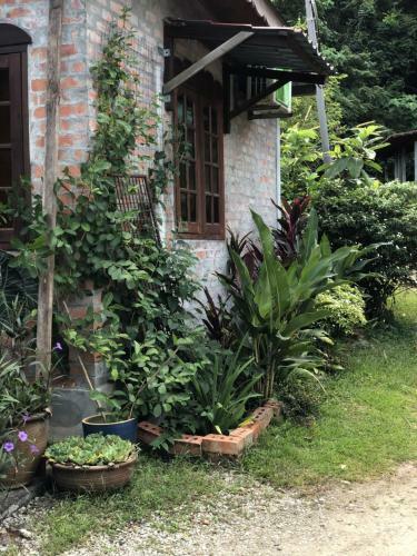 Hostal Pondok Keladi Langkawi Guesthouse
