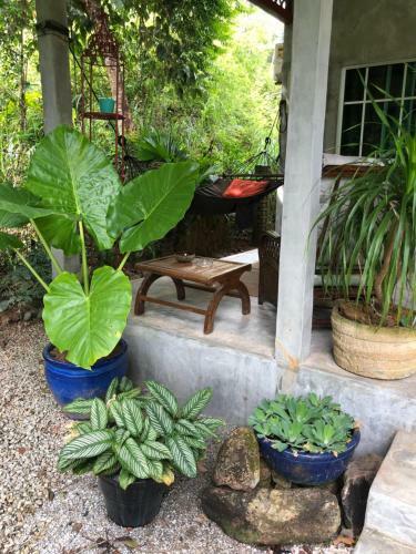 Hostal Pondok Keladi Langkawi Guesthouse