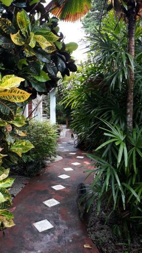 Hostal Pondok Keladi Langkawi Guesthouse