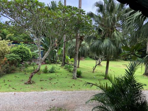 Hostal Pondok Keladi Langkawi Guesthouse