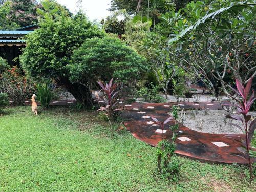 Hostal Pondok Keladi Langkawi Guesthouse