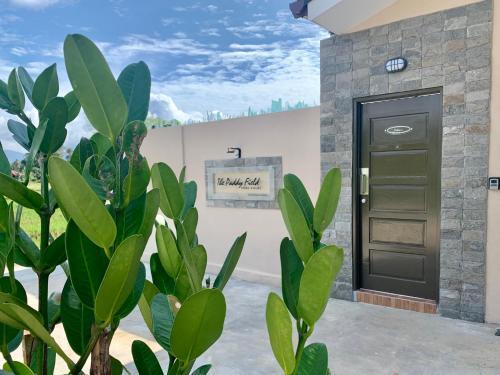 The Paddy Field - Private Pool Villas