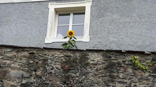 Bed & Breakfast Pension Alte M�hle