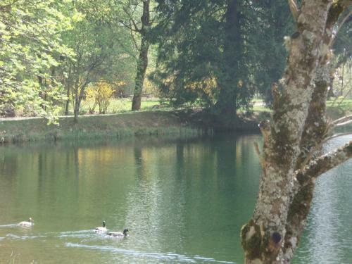 Apartamento Ferienwohnung Schloss Dornbach