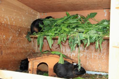 Agroturismo Gut Sonnbichl