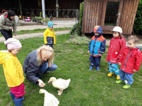 Agroturismo Kerndlerhof
