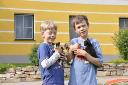 Agroturismo Kerndlerhof