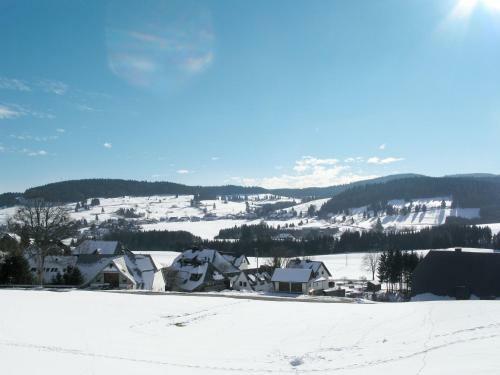 Apartment Schwarzwaldblick-3