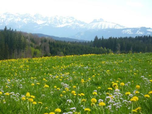 Posada Landgasthaus Mittelallg�u