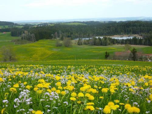 Posada Landgasthaus Mittelallg�u