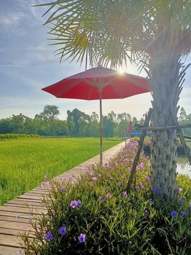 Bed & Breakfast Wuadaeng Villa