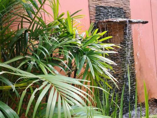 Hotel Tropical Bliss Residence
