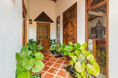 Hotel Tropical Bliss Residence