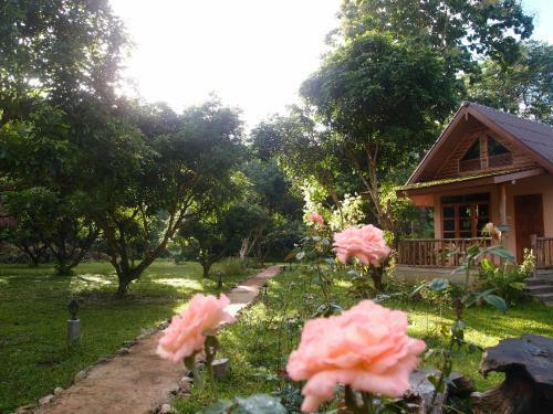 Hotel At Home Chiang Dao, Pooch Lovers