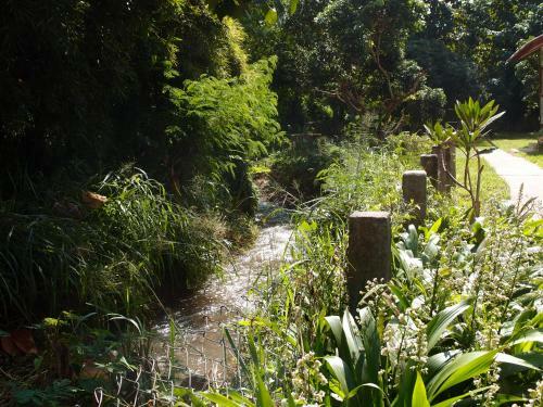 Hotel At Home Chiang Dao, Pooch Lovers