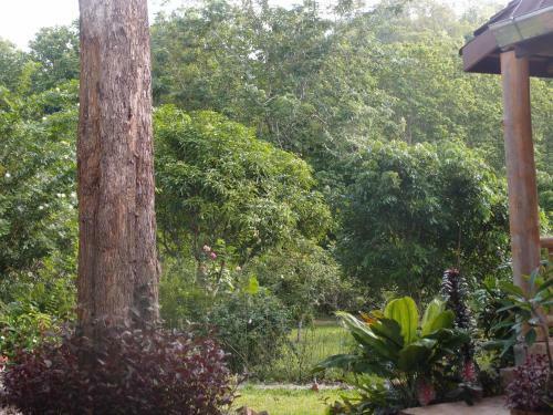 Hotel At Home Chiang Dao, Pooch Lovers