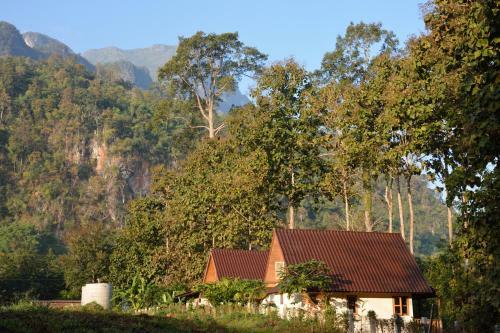 Hotel At Home Chiang Dao, Pooch Lovers