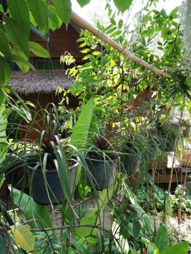 Rustic? Charm? Suphan?