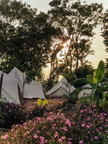 Roost Glamping - Sha Certified