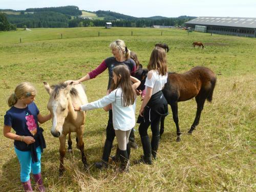 Agroturismo Espi-stables Ferienhof Esterhammer