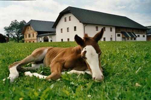 Agroturismo Espi-stables Ferienhof Esterhammer