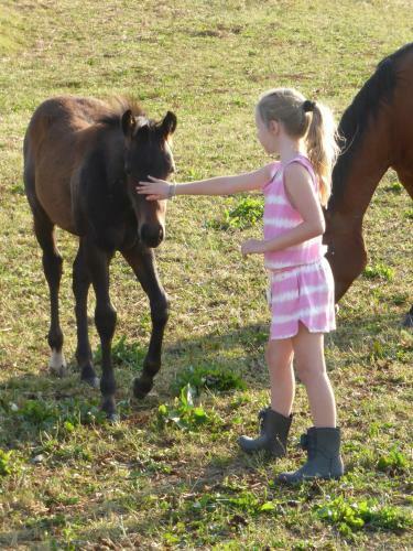 Agroturismo Espi-stables Ferienhof Esterhammer