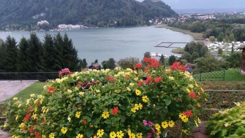 Apartamento G�stehaus Tarmann