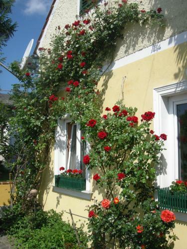 Hostal Pension Arkadenhof
