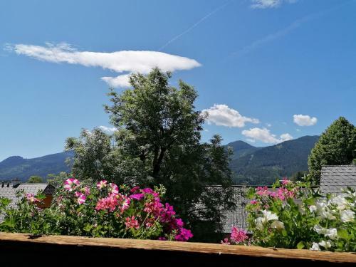 Agroturismo Wagnerhof