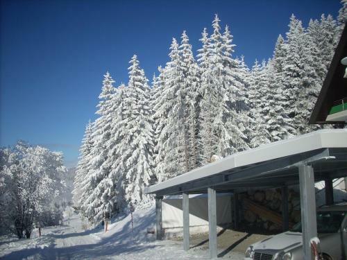 Apartamento Appartements Akzente
