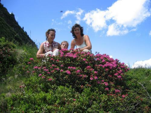 Agroturismo Bauernhof Haim