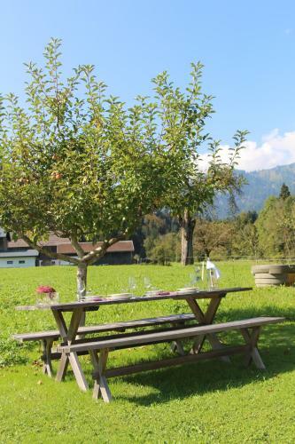Apartamento Ferienwohnung Vogt