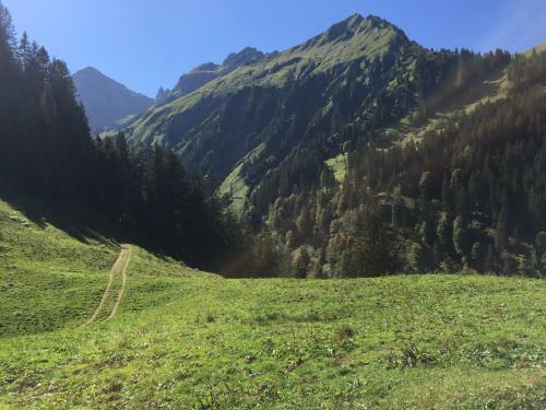 Apartamento K�ferhof