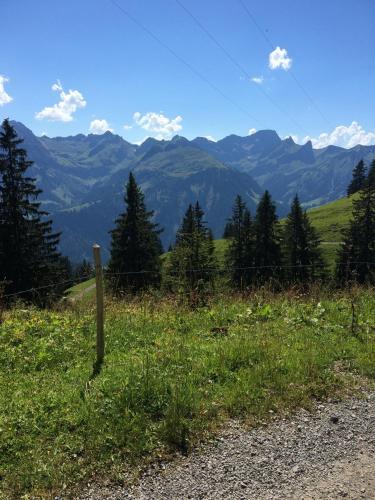 Apartamento K�ferhof