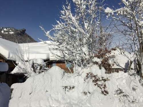 Apartamento K�ferhof