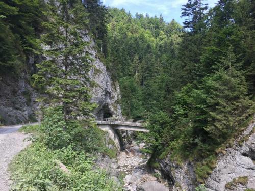 Apartamento K�ferhof