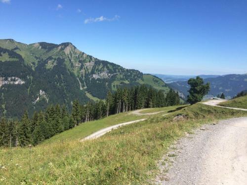 Apartamento K�ferhof