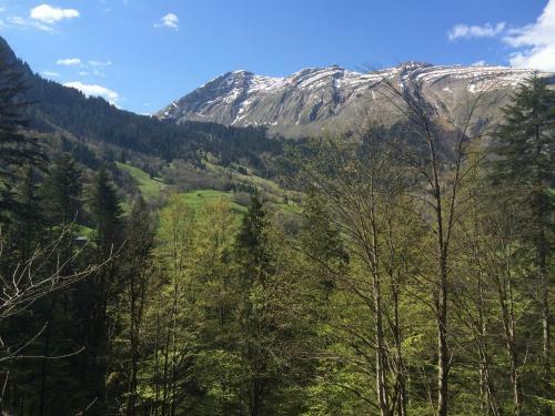 Apartamento K�ferhof